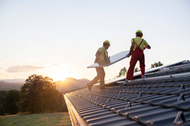 Best Roof Moss and Algae Removal  in Dilley, TX