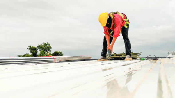 Best Commercial Roofing Services  in Dilley, TX