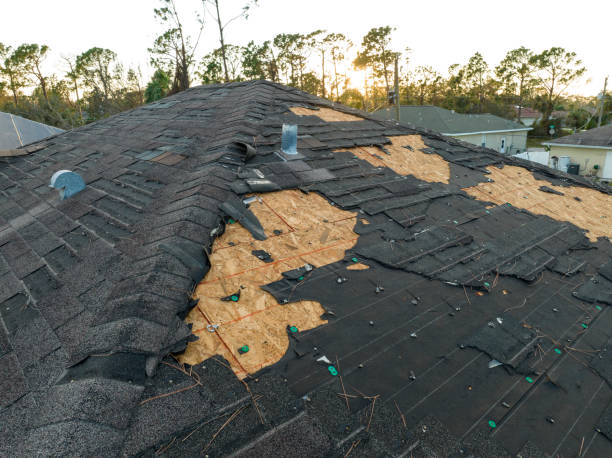 Best Roof Installation  in Dilley, TX